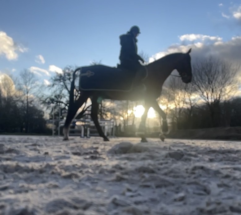 CHEVAL